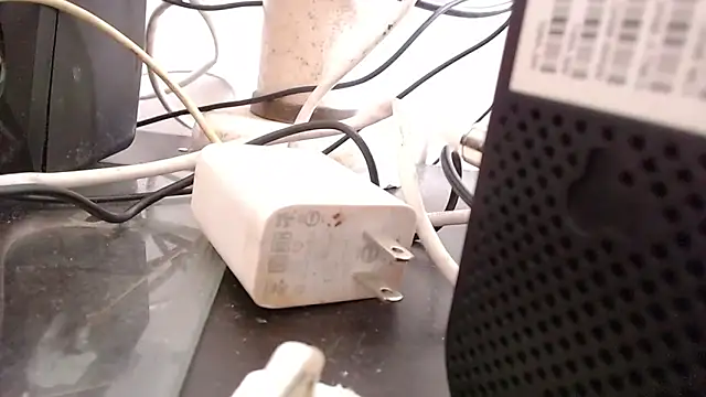 bardotbigcockts online show from 09-25-25, 08:01