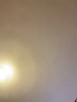 Snapshot of asianmama888 chatting on 02-24-26, 12:41 asianmama888 online show from 02-24-26, 12:41