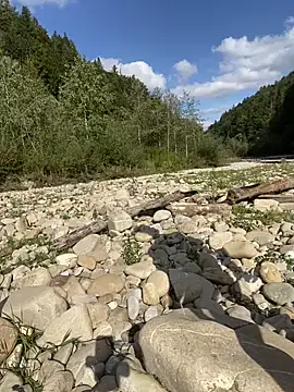 Snapshot of artXhibitor chatting on 09-29-25, 01:16 artXhibitor online show from 09-29-25, 01:16