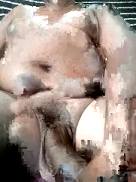 poloplayer123 online show from 04-11-26, 09:46