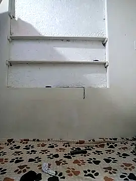 Cameron puppy online show from 04-24-26, 05:32