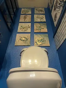 cococobanna online show from 02-05-26, 01:27