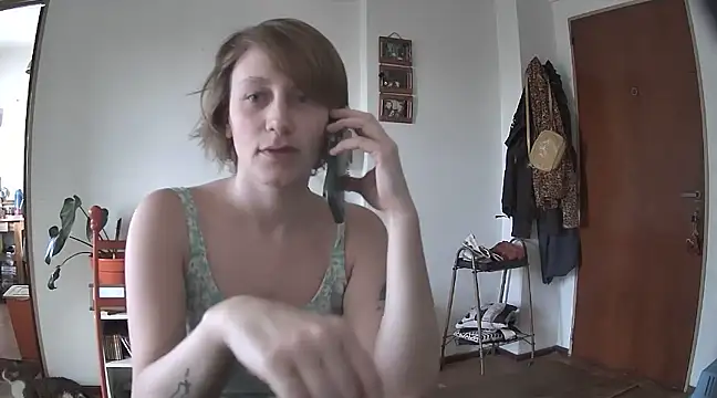 stupid babybird online show from 12-20-24, 09:06