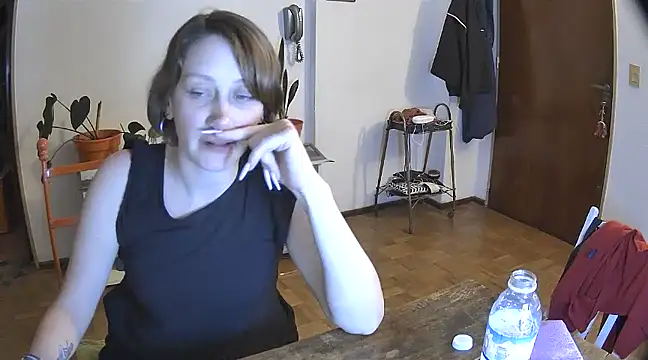 stupid babybird online show from 12-29-24, 05:10