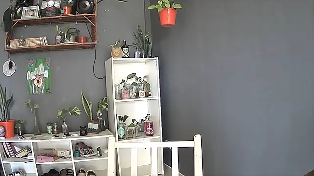 stupid babybird online show from 03-05-25, 08:32