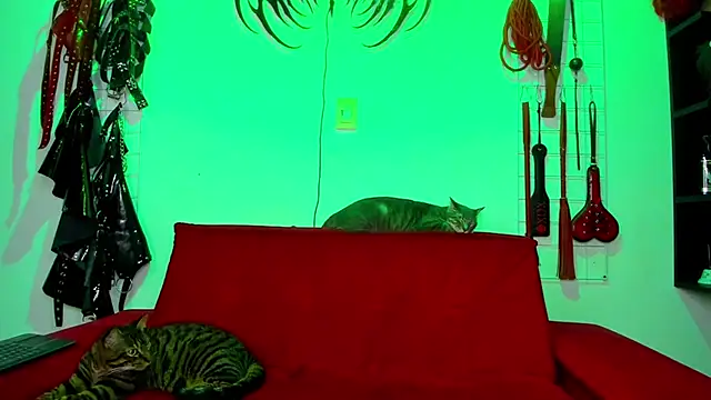 irregular fetish  online show from 02-26-26, 07:46