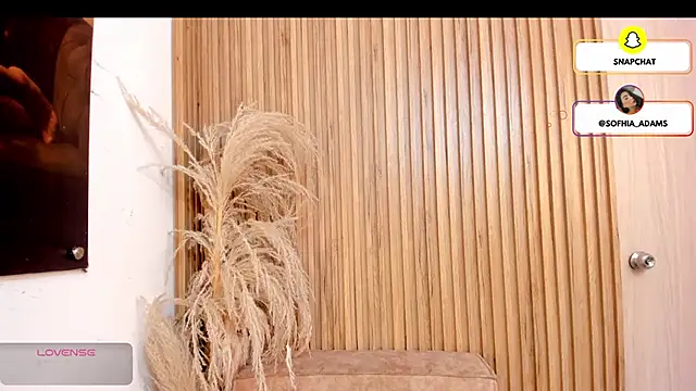 sofhiaa adaams online show from 02-22-26, 05:11