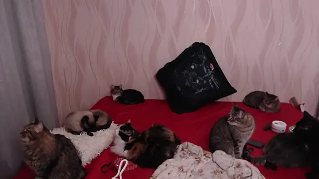 Snapshot of Olivia_Winston chatting on 12-28-24, 09:40 Olivia Winston online show from 12-28-24, 09:40