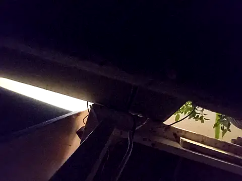 Daminou28 online show from 10-19-25, 11:16