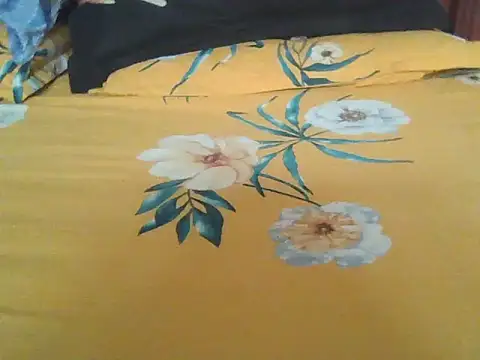 Nuttysub online show from 11-20-25, 02:01