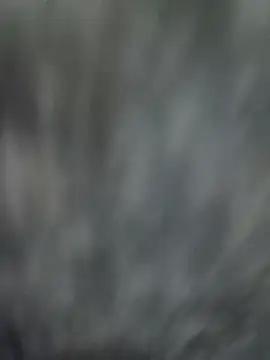 NaiveAlly5 online show from 09-25-25, 07:34