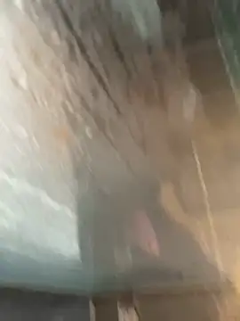 LivingLegend1978 online show from 02-15-26, 08:46