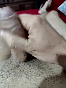 Snapshot of quierodarleche69 chatting on 10-31-25, 02:01 quierodarleche69 online show from 10-31-25, 02:01