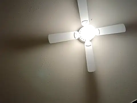 EXOTICLEXXXI online show from 12-23-25, 03:37