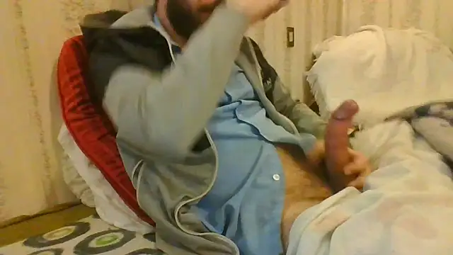 tozebrito hd online show from 12-05-24, 01:47