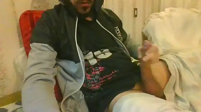 tozebrito hd online show from 12-14-24, 11:12