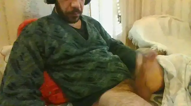 tozebrito hd online show from 02-06-25, 08:29