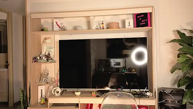 Michelle se online show from 04-10-26, 11:42