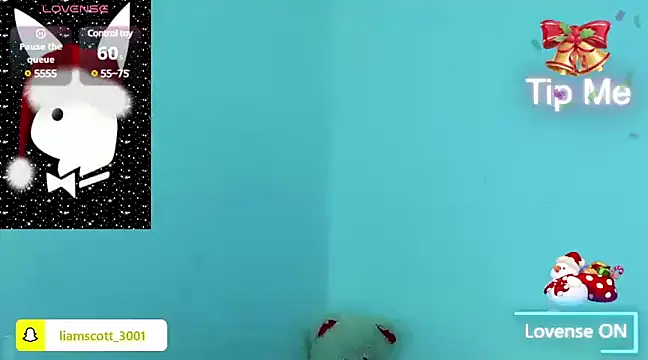 Liamscott  online show from 12-22-24, 02:39