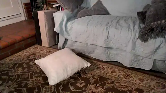 Dark Asteroid online show from 02-20-26, 12:38