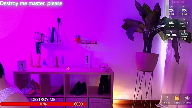 catha cat online show from 11-24-25, 05:45