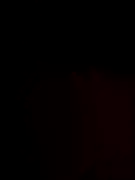 FantasticWonders9 online show from 11-25-25, 12:21