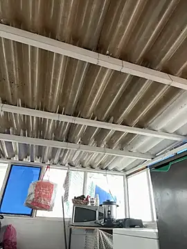 Snapshot of SheraHadee chatting on 03-08-25, 03:45 SheraHadee online show from 03-08-25, 03:45