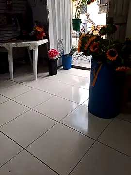 VivienAndClark online show from 10-18-25, 07:25