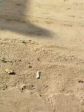 Snapshot of Monster_Bigdick chatting on 12-08-24, 03:32 Monster Bigdick online show from 12-08-24, 03:32