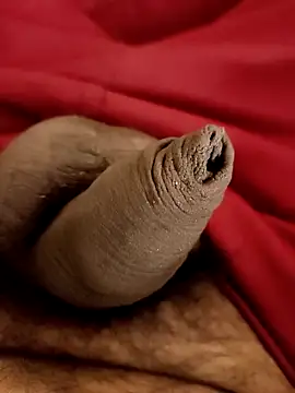 Ashish02345 online show from 01-25-25, 08:31