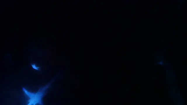 perversalus online show from 05-09-26, 01:22