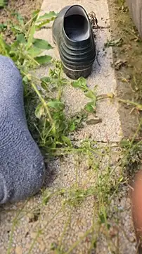 anald66666 online show from 04-23-26, 12:29