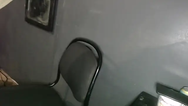 Dogz n daugthers online show from 02-02-25, 12:19