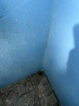 mfloressd14 online show from 01-08-26, 06:21