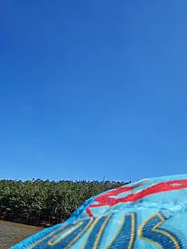 Dixiefaye Pika online show from 03-18-25, 08:15