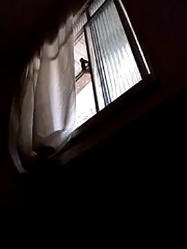 mario pedro online show from 02-10-26, 04:33