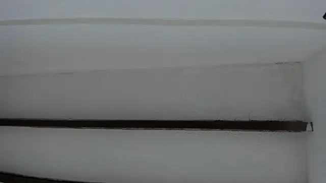 Oriana Guzman online show from 01-20-25, 10:40