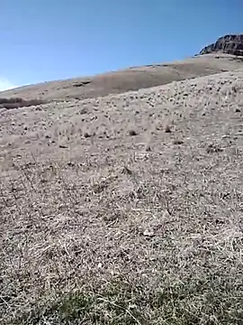 Snapshot of rockpimp chatting on 03-09-26, 06:56 rockpimp online show from 03-09-26, 06:56