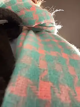 Snapshot of MerlinDave chatting on 01-06-25, 01:42 MerlinDave online show from 01-06-25, 01:42