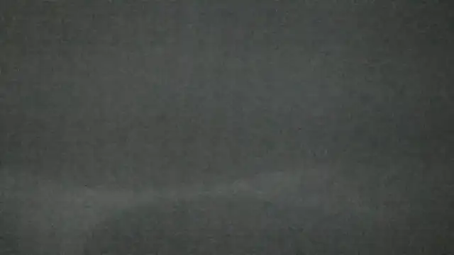 canela wet online show from 02-14-25, 12:25