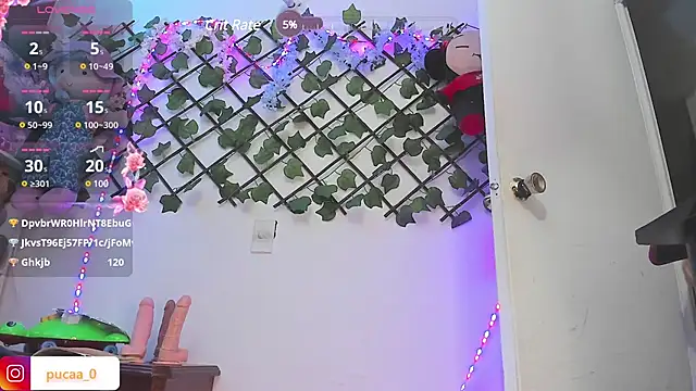 Pucaa  online show from 12-20-24, 04:53