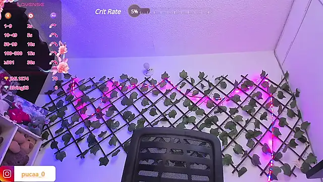 Pucaa  online show from 01-30-25, 04:48