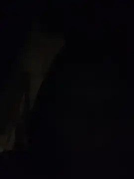 Boysex227 online show from 11-14-25, 06:06