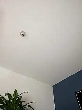 Snapshot of SilvaBranko chatting on 11-02-25, 11:07 SilvaBranko online show from 11-02-25, 11:07