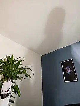 Snapshot of SilvaBranko chatting on 11-04-25, 10:09 SilvaBranko online show from 11-04-25, 10:09