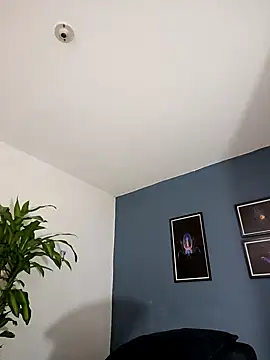 Snapshot of SilvaBranko chatting on 11-09-25, 01:04 SilvaBranko online show from 11-09-25, 01:04