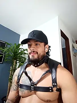 Snapshot of SilvaBranko chatting on 12-17-25, 12:49 SilvaBranko online show from 12-17-25, 12:49