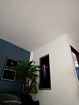 Snapshot of SilvaBranko chatting on 12-18-25, 12:06 SilvaBranko online show from 12-18-25, 12:06