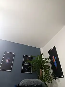 Snapshot of SilvaBranko chatting on 12-19-25, 02:07 SilvaBranko online show from 12-19-25, 02:07