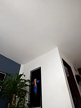 Snapshot of SilvaBranko chatting on 12-20-25, 02:07 SilvaBranko online show from 12-20-25, 02:07